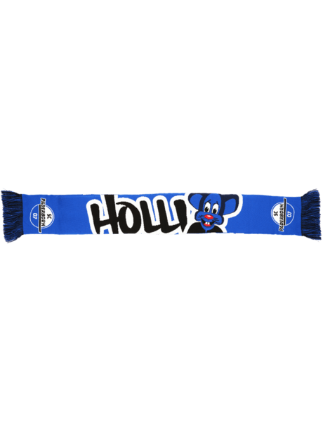 Bild des Produkts Kinderschal Holli