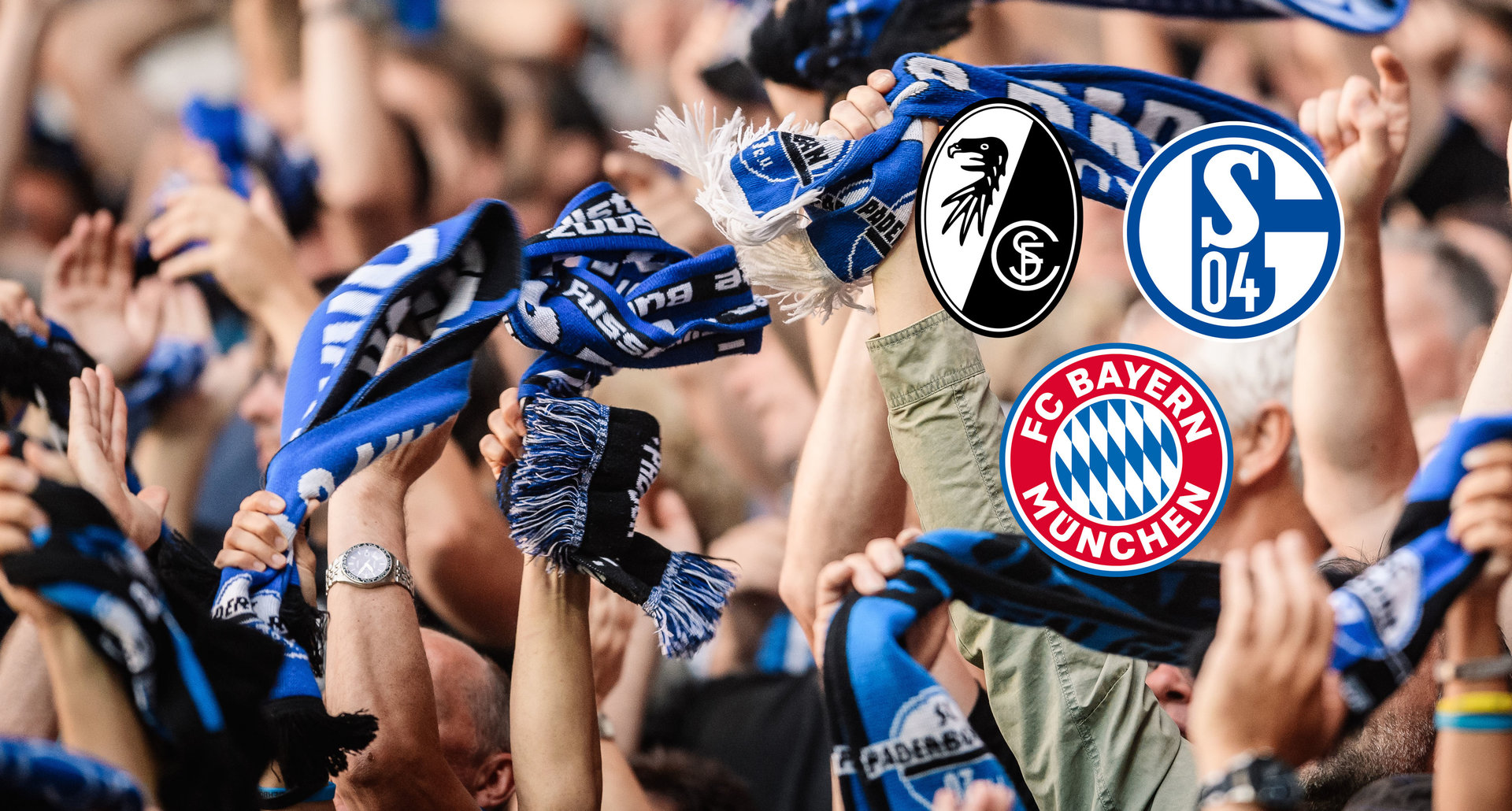 Fans auf der Südtribüne, Logos SC Freiburg, FC Schalke 04, FC Bayern München